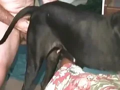 Zoo Sex Videos: Hardcore Animal Porn Tube