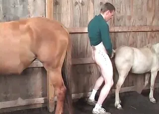 Stunning horse screwed from behind in short clip