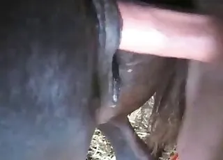 Simply screwing a decent looking dark pony in the stable