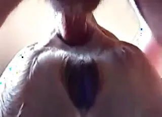 Skilled pup gets a thorough butt filling in short scene