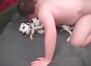 Freshly Fucked Dalmatian and the Zoophile in a Short Clip