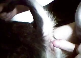 Horny Zoophile Gets Deep Anal with Large Animal