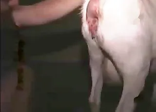 Thirsty guy ruins tight little hole in short zoo clip