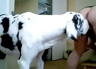 Freaky Pooch Pounded From Behind In This Wild Zoo Porn Vid
