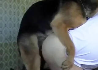 Big Booty Gets Fucked By Twisted Creature In Zooporn Video
