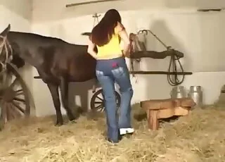 Redhead darling gets it on with a dark horse