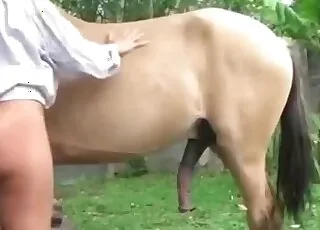 Horse semen looks delicious in this short animal clip