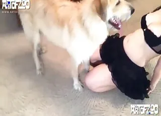 Red-haired hairy chick getting licked by a dog in doggy style Backyard night shoot with a dog and an amateur couple.