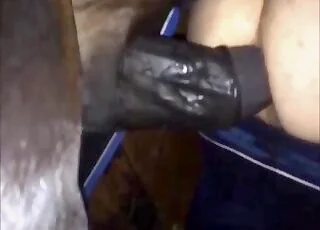 Horse Penetrating Submissive Girl in Holes Scene