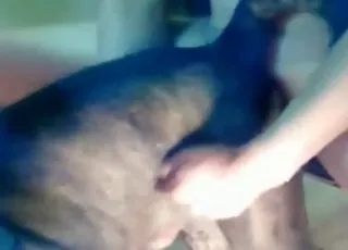 Man fucks his dog in hot animal sex zoo porn scene