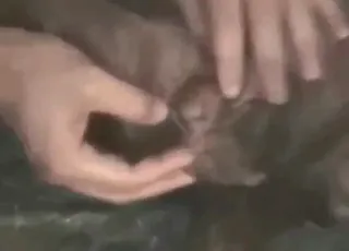 Guy keeps his female dog happy with outdoor sex