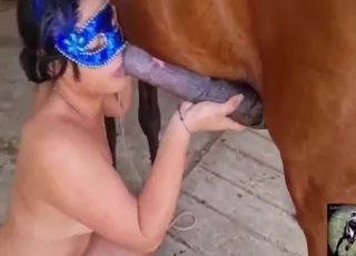 Horse and Dog Blowjob Compilation Clip animal sex Porn Zoo Video