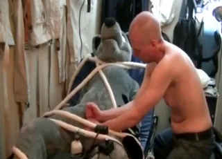 Bound furry hottie jerked off by bald stud in zoo porn