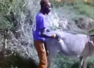Horny Dude Fucks Donkey Cunt in Raw Zoo Clip