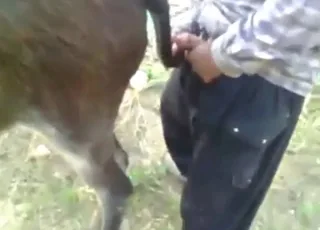 Horny dude gets wild with donkey cunt in short clip