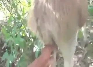Close-up of a sexy beast gaped during intense fucking