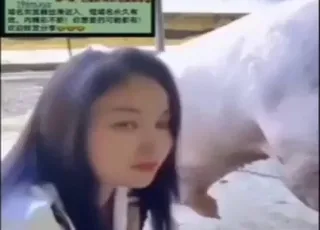 Chinese girl sucks pig dick in zoo porn clip