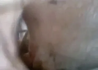 Hardcore pig fuck with deep thrusting action