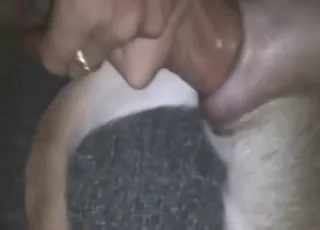 Bitch-ass dog enjoys rough zoo XXX session