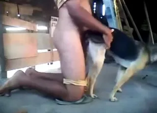 Bitch-ass guy fucking dog tight hole in zoo porn clip