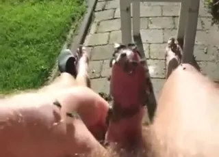 POV fly fucking scene with green flies on dick