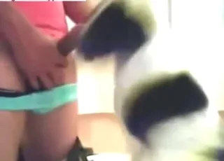 Cute beast sucks a hard dick for fun in this zoo porn clip