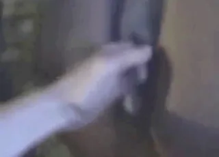Mare gets gaped by sexy guy in wet zoo scene