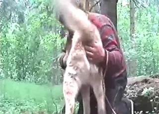 Sexy Beast Fingering Dog Anal Pleasure: Hot Zoo Porn Scene with Real Animal