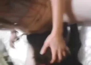 Sexy ass dog cumshot with couple in unison