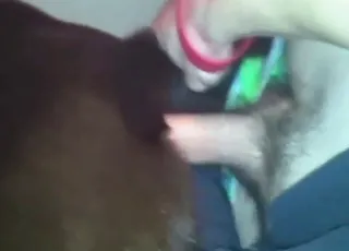 Chocolate Lab gets a deep anal creampie with a pullout finish