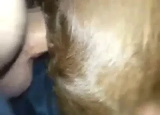 Chocolate Lab gets deep hard anal gape in zoo sex scene