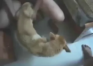 Tender and romantic animal sex with a guy