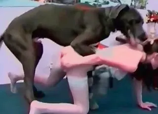 Black Dog Fucking Stretched Pussy in Close-Up