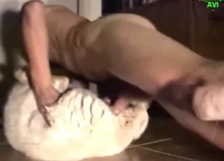 Zoo XXX sheep takes a nice cock inside deep and hard