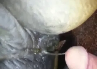 Urine lube close-up in hot zoo porn movie