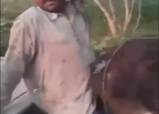 Hindi dude gets hard cock from donkey fuck