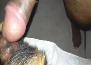 Slutty Latina Dog Gets Dicked Hard in HQ
