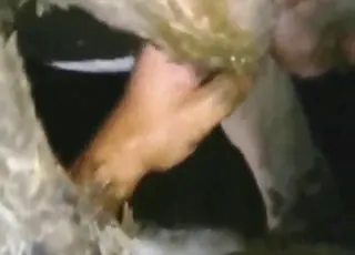 Hot zoophile movie with legit close-ups featuring real animal porn and animal sex scenes