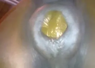 Female horse pooping in zoo porn clip - realistic animal sex video