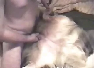 Brutal horned hubby action with animal: intense zoo porn scene with animal sex and zofilia vibes