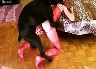 Babe in red lingerie enjoys dog sex - hot zoo porn with animal sex