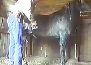 Good-looking amateur animal sex scene with animal