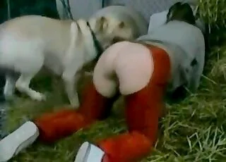 White Puppy Realizes How to Bang Human Cunts