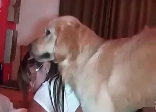 Moist love hole gets screwed by a doggo in hot zoo porn animal sex scene